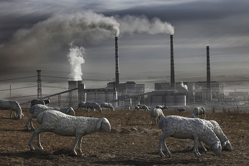 ⬆︎ Sculture di pecore nel parco di Horquin nella città di Holin Gol in Cina. Qui, le miniere di carbone hanno inquinato i campi dove le pecore vere pascolavano Photographs by Lu Guang/Contact Press*